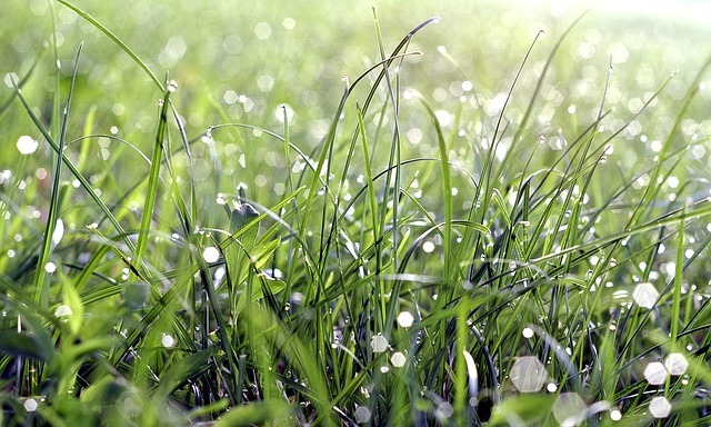 Enjoy beautiful natural scenery in North Lodge.